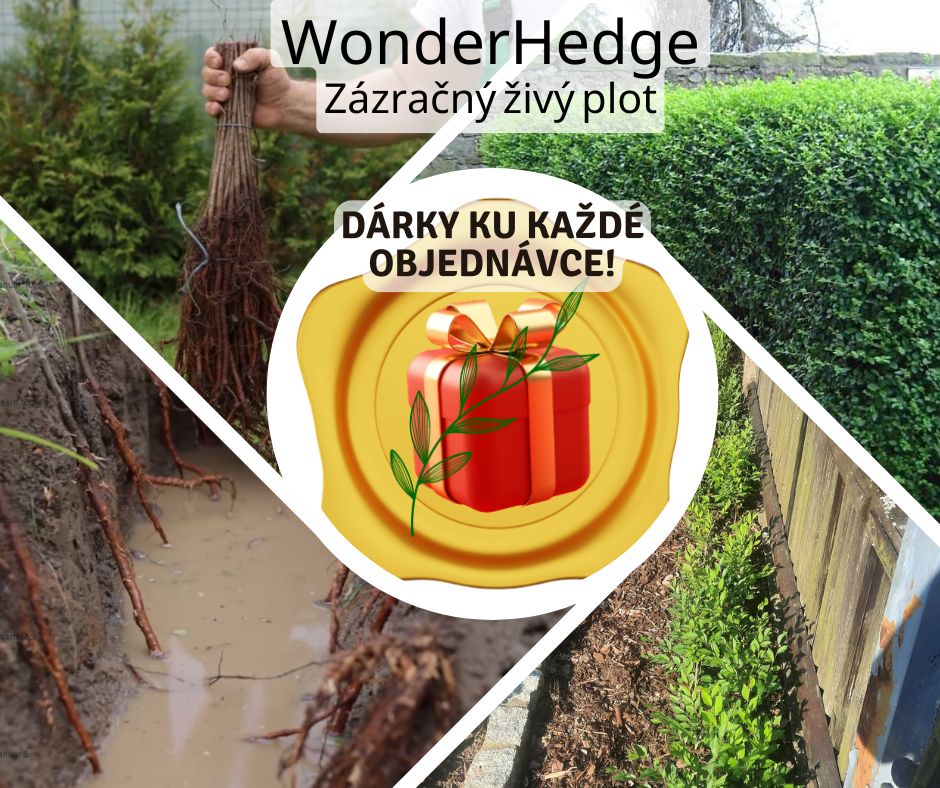 Bonusy ku každé objednávce
